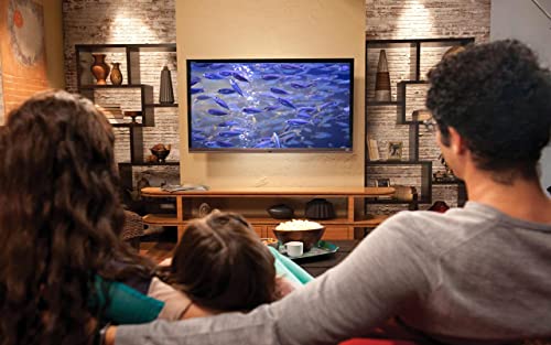 Acuario de peces en HD gratis: disfruta de la carrera de peces en tu televisor HDR 4K, televisor 8K y dispositivos de fuego como fondo de pantalla, decoración para las vacaciones de Navidad, tema para