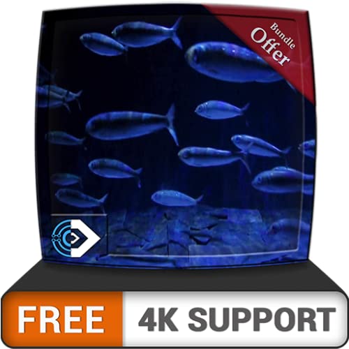 Acuario de peces en HD gratis: disfruta de la carrera de peces en tu televisor HDR 4K, televisor 8K y dispositivos de fuego como fondo de pantalla, decoración para las vacaciones de Navidad, tema para