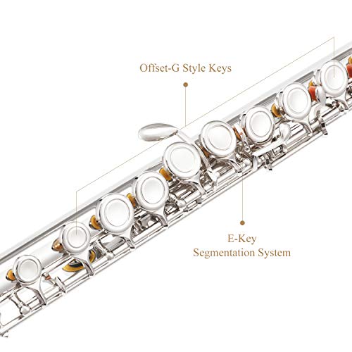 Eastar Flauta Travesera Nickel Plated 16 Llaves Agujero Cerrado C Flauta para Principiantes, EFL-1