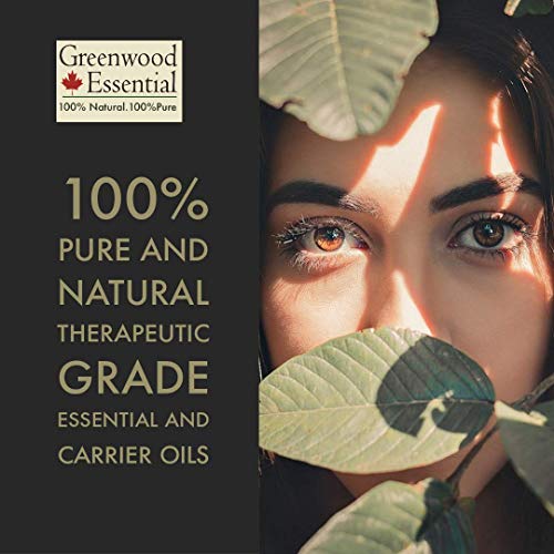 Greenwood Essential - Aceite esencial de benjuí (Styrax benzoin) 100 % natural de grado terapéutico extraído mediante destilación por arrastre de vapor, 30 ml