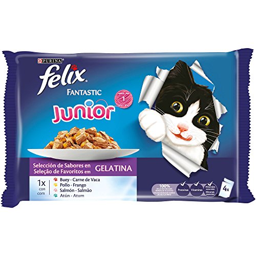 Purina Felix Fantastic comida para gato Junior Selecciones Favoritas 10 x [4 x 100 g]