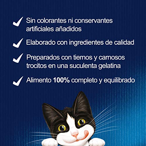 PURINA Felix Fantastic Duo Delice - Comida para Gatos en Sobres, Variedad de Pescados, 10 x (4 x 100 g)