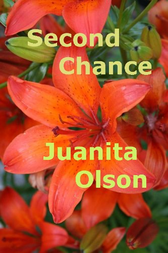 Second Chance (English Edition)