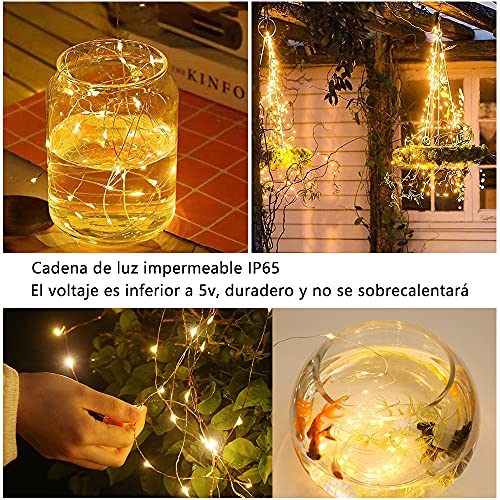 [2 Pack] Guirnaldas Luces Interior,10m 100 LED de Guirnalda Luces con Control Remoto & Enchufe USB,8 Modos Cadena de Luces de Impermeable IP65 para Navidad,Casa,Terraza, Fiestas, Bodas, Festivales