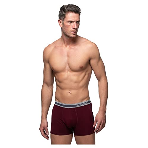 Abanderado Advanced Cintura Extra Suave Boxer Briefs, Borgoña, M/48 Mens