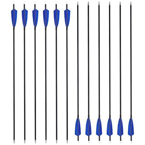 AMEYXGS 31" Flechas de Carbonotiro Flechas de Caza 500 Espina Flechas de Destino con Pluma de Pavo Natural de 4" 100 Grano Puntos para Arco Recurvo Arco Compuesto (12pcs, Azul)