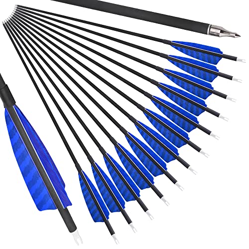 AMEYXGS 31" Flechas de Carbonotiro Flechas de Caza 500 Espina Flechas de Destino con Pluma de Pavo Natural de 4" 100 Grano Puntos para Arco Recurvo Arco Compuesto (12pcs, Azul)