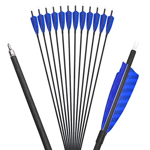 AMEYXGS 31" Flechas de Carbonotiro Flechas de Caza 500 Espina Flechas de Destino con Pluma de Pavo Natural de 4" 100 Grano Puntos para Arco Recurvo Arco Compuesto (12pcs, Azul)