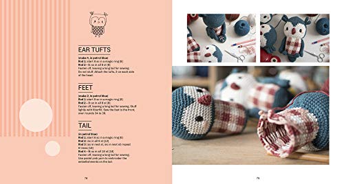 Animal Friends of Pica Pau 2: Gather All 20 Original Amigurumi Characters (idioma en Inglés)