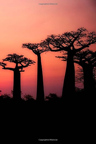 Baobab Trees at Sunset in Madagascar Journal: 150 Page Lined Notebook/Diary