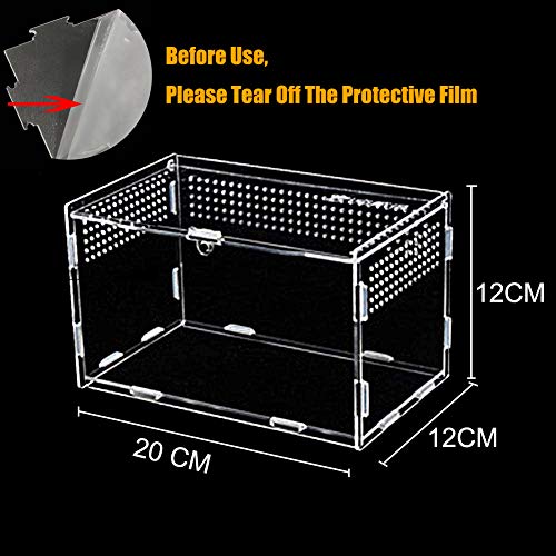 Caja de Alimentación de Insectos, 20X12X12cm Acrílico Transparente Estuche de Cría de Reptiles para Spide, Lagartija, Escorpión, Ciempiés, Rana cornuda, Escarabajo.