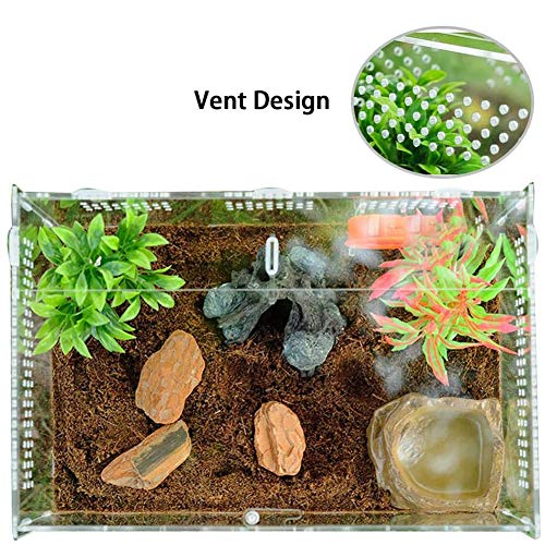 Caja de Alimentación de Insectos, 20X12X12cm Acrílico Transparente Estuche de Cría de Reptiles para Spide, Lagartija, Escorpión, Ciempiés, Rana cornuda, Escarabajo.