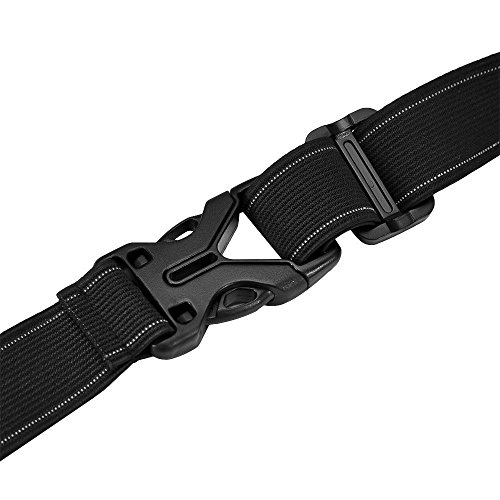 Cinturón elástico para número para carrera de triatlón, no tiene cordones, en negro., BELT ONLY