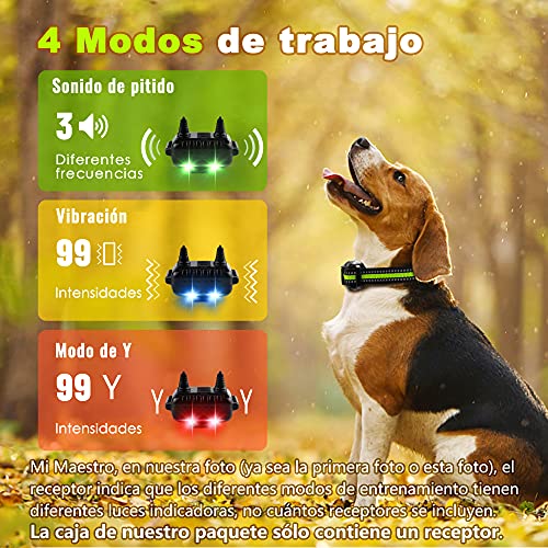 Collar Adiestramiento Perros, Collar de Adiestramiento para Perros Pequeños Medianos y Grandes, 3+1 Modo de Entrenamiento y Rango Remoto de 800 Metros Collar de Adiestramiento