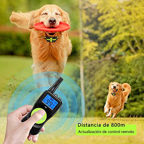 Collar Adiestramiento Perros, Collar de Adiestramiento para Perros Pequeños Medianos y Grandes, 3+1 Modo de Entrenamiento y Rango Remoto de 800 Metros Collar de Adiestramiento