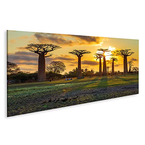 Cuadro en lienzo Hermosos árboles de baobab al atardecer en la Avenida de los Árboles de Baobab en Madagascar Cuadros Modernos Decoracion Impresión Salon