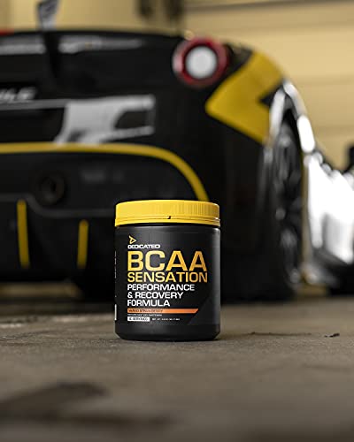 Dedicated Nutrition BCAA - Sensación Aminoácidos Amino Regeneración Construcción de músculo Fitness Culturismo - 390 g (Rainbow Candy-Caramelos de arco iris)