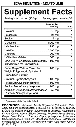 Dedicated Nutrition BCAA - Sensación Aminoácidos Amino Regeneración Construcción de músculo Fitness Culturismo - 405 g (Mojito Lime-Mojito de lima)