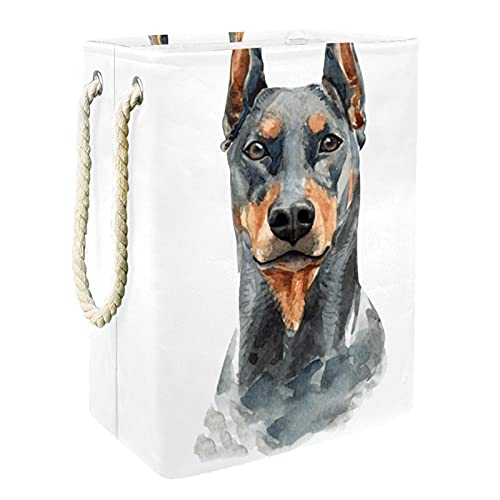 Doberman Pinscher - Cestas de lavandería, impermeables y plegables con asas para bebé, guardería, dormitorio, baño, 60 l