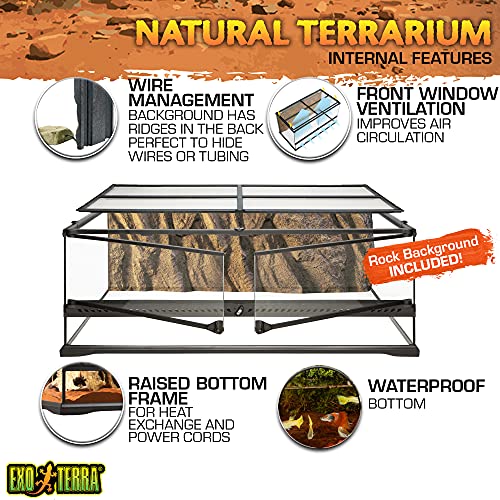 EXO TERRA Exoterra Terrario Grande Low de 121 L, 90 x 45 x 30 cm, 90x45x30 cm (Paquete de 1)