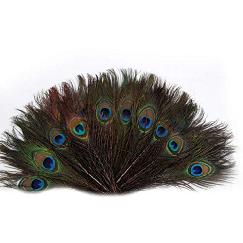 GARNECK 100 Piezas Plumas de Pavo Real Hermosa Hermosa Pluma de Ojo Suave Pluma de Pavo Real característica de Cola para decoración de Adorno