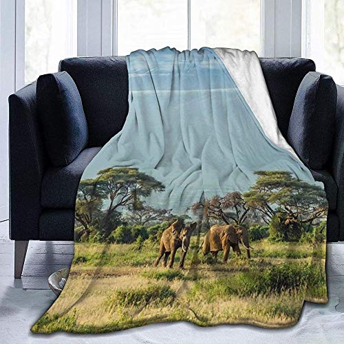 HGGZJUA Mantas Elefante Frente Al Monte Kilimanjaro & Pico Mawenzi Manta De Franela Mantas De Cama Mantas para Sofás Manta Gruesa Y Esponjosa Suave Manta De Microfibra Reversible 80X60 Inches