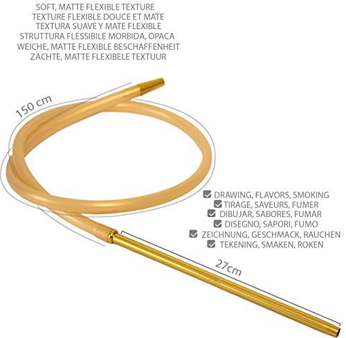 HOOKKING Cachimba Shisha elegante diseño de cachimba en aluminio y acrílico de calidad 38cm Tubo negro chimenea y placa (DORADO)