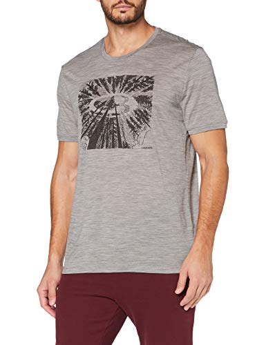 Icebreaker Spector Tree Top Logo Merino - Camiseta para Hombre, Hombre, 104597, Metro HTHR, Medium