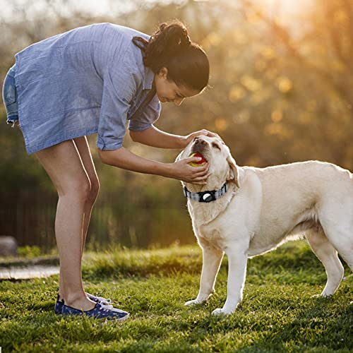 KAMEUN Collar de Perro Compatible con Apple Airtag , Collares Tácticos para Perros, Suave Acolchado Neopreno Ajustable Collares Reflectantes para Mascotas para Perros Medianos y Grandes Caminar (S)