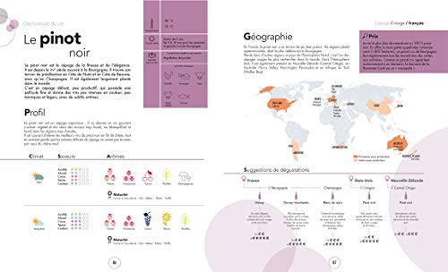 Le grand cours de dégustation: 120 leçons pour déguster comme un expert (VINS)