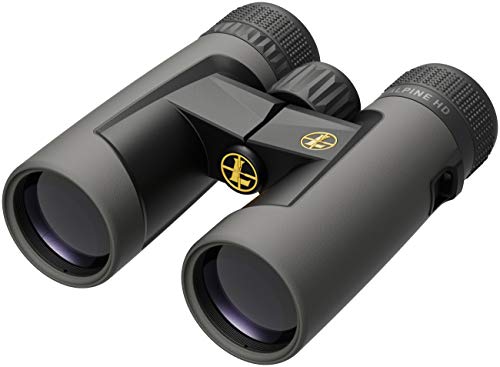 Leupold Bx-2 Alpine HD - Prismáticos (8 x 42 mm)