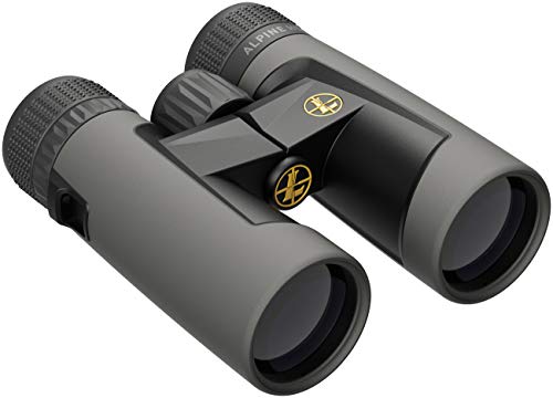 Leupold Bx-2 Alpine HD - Prismáticos (8 x 42 mm)