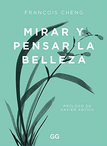 Mirar y pensar la belleza