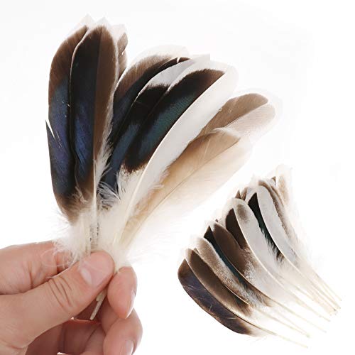 MWOOT 200 Plumas Bricolaje, Azul Plumas de Pato para Ropa Carnaval, Disfraces Halloween, Sombreros Hogar Boda Partido Decoración, 8-13cm Plumas de Decoración,DIY Craft feathers