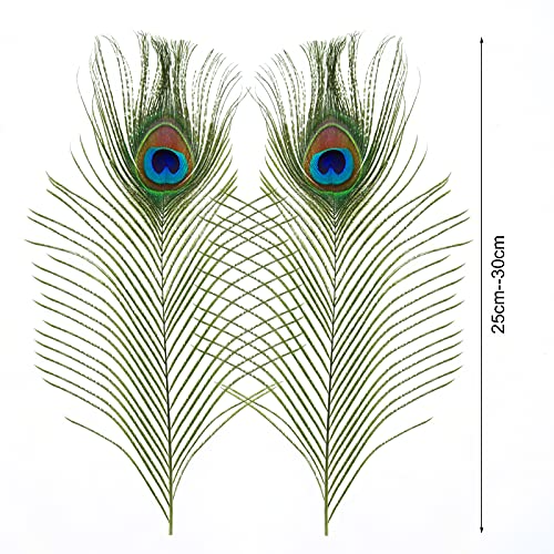 MWOOT 50 pcs Plumas Pavo Real, Plumas Ojo Pavo Real Verde para Arte de Manualidades Bricolaje, Plumas Cola Pavo Real para Decoración Banquete de Boda de la Mascarada del Carnaval (28-32CM)