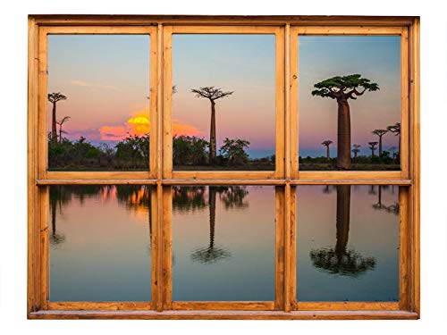 Oedim Vinilo de Pared Efecto Ventana 3D Baobabs en Madagascar 85x60cm | Artículo Decorativo de Habitaciones | Pegatina para Decoración de Paredes | Adhesivo Elegante para el Hogar |