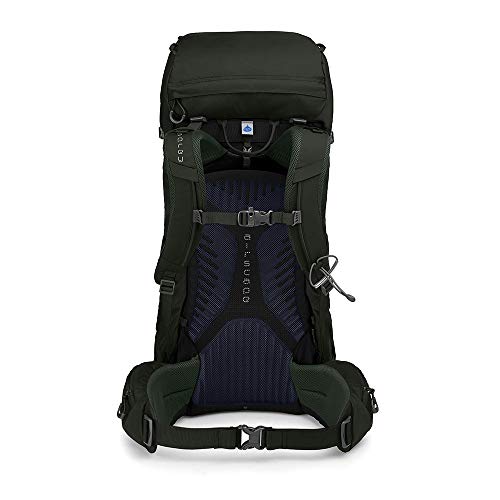 Osprey Kestrel 38 Men's Hiking Pack - Picholine Green (M/L)