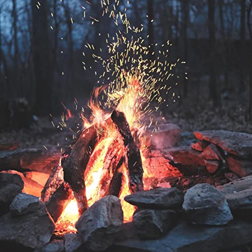 Outdoor Fireplace Burning Fire Wood