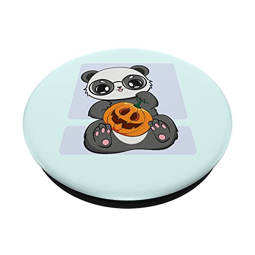 Panda Con Gafas Kawai Anime Oso Cachorro Folivore Zoólogo PopSockets PopGrip Intercambiable