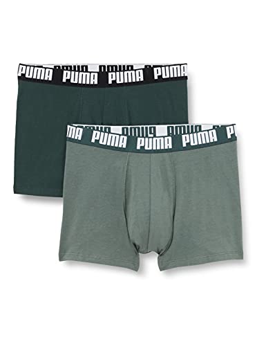 PUMA Calzoncillos básicos Boxer Briefs, Green Combo, XL para Hombre