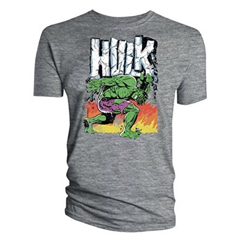 Titan Merchandise – Camiseta de Marvel The Incredible Hulk Carrying Logo (M)