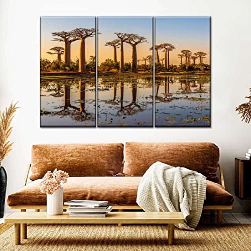 TTGS 3 Piezas Cuadro En Lienzo Baobabs De Madagascar Cuadros 3 Modernos Impresión De ​Imagen Lienzo ​Decorativo para Tu Salón Dormitorio Navidad Decorar