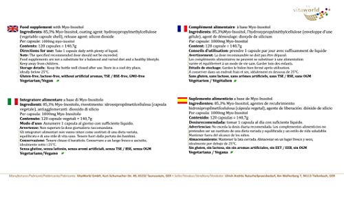 Vita World Myo Inositol 1000mg 120 Cápsulas Vegetales Made in Germany