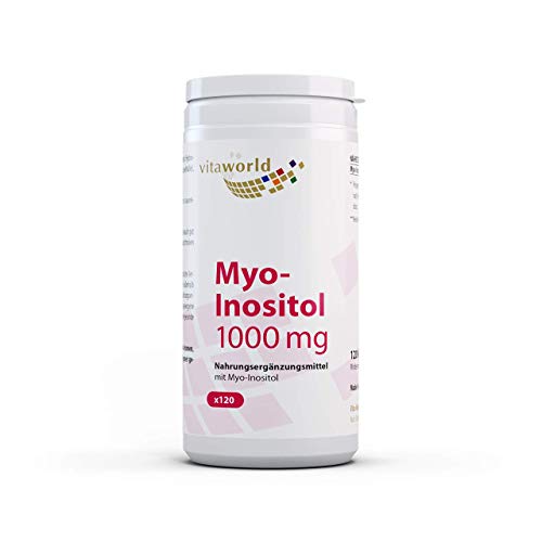 Vita World Myo Inositol 1000mg 120 Cápsulas Vegetales Made in Germany