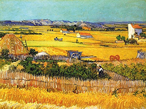 1art1 Vincent Van Gogh - La Cosecha, Llanura De Crau Cerca De Arles, 1888 Cuadro, Lienzo Montado sobre Bastidor (40 x 30cm)