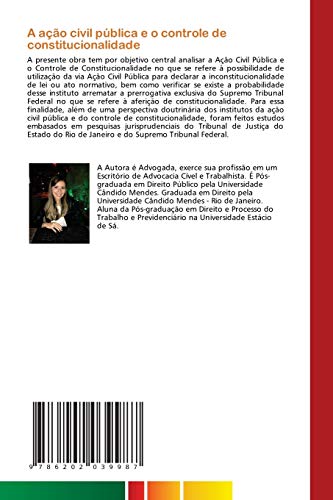 A ação civil pública e o controle de constitucionalidade: Sob a óptica dos efeitos das decisões judicias