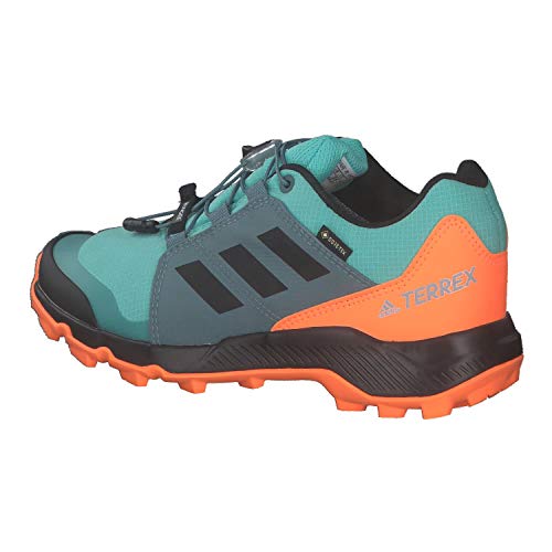 adidas Terrex GTX K, Zapatillas de Senderismo, MENACI/NEGBÁS/NARCHI, 31.5 EU