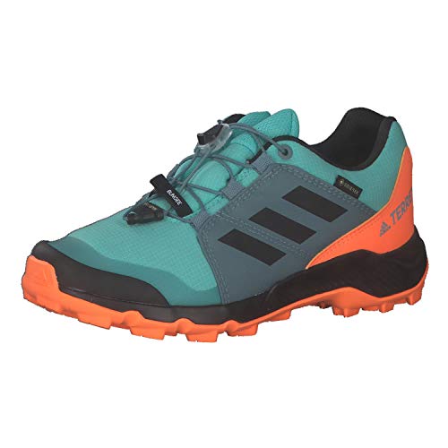 adidas Terrex GTX K, Zapatillas de Senderismo, MENACI/NEGBÁS/NARCHI, 31.5 EU