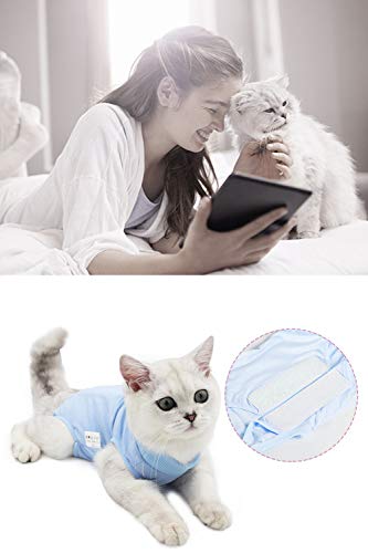 AEITPET Traje de recuperación Profesional para Gatos, Gata Camiseta de recuperación, heridas Abdominales Profesional para heridas, de recuperación quirúrgica Ropa Chaleco de pequeños Gatos (M, Azul)