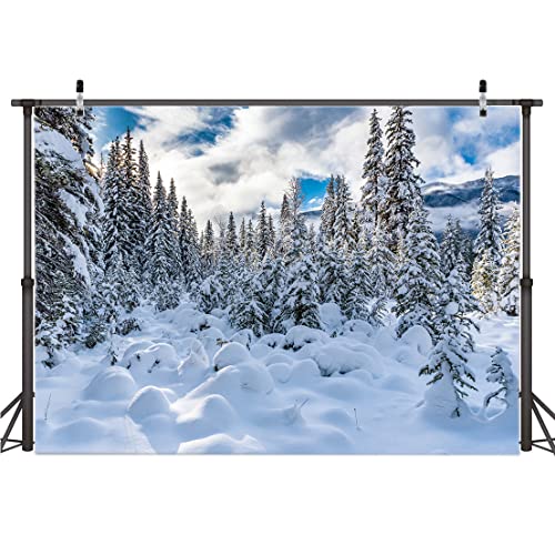 AIIKES 7x5FT Fondo de Invierno Cielo al Aire Libre Fondo de fotografía de Copo de Nieve Bosque de Nieve Blanca Decoración de Fiesta de Navidad Retrato de niño Accesorios de Estudio fotográfico 12-349